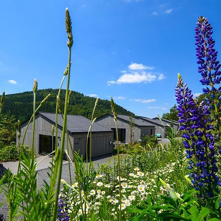 Sauerland Lodge - Haus Maxim 温特贝格 外观 照片