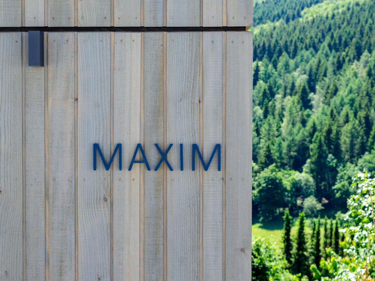 Sauerland Lodge - Haus Maxim 温特贝格 外观 照片