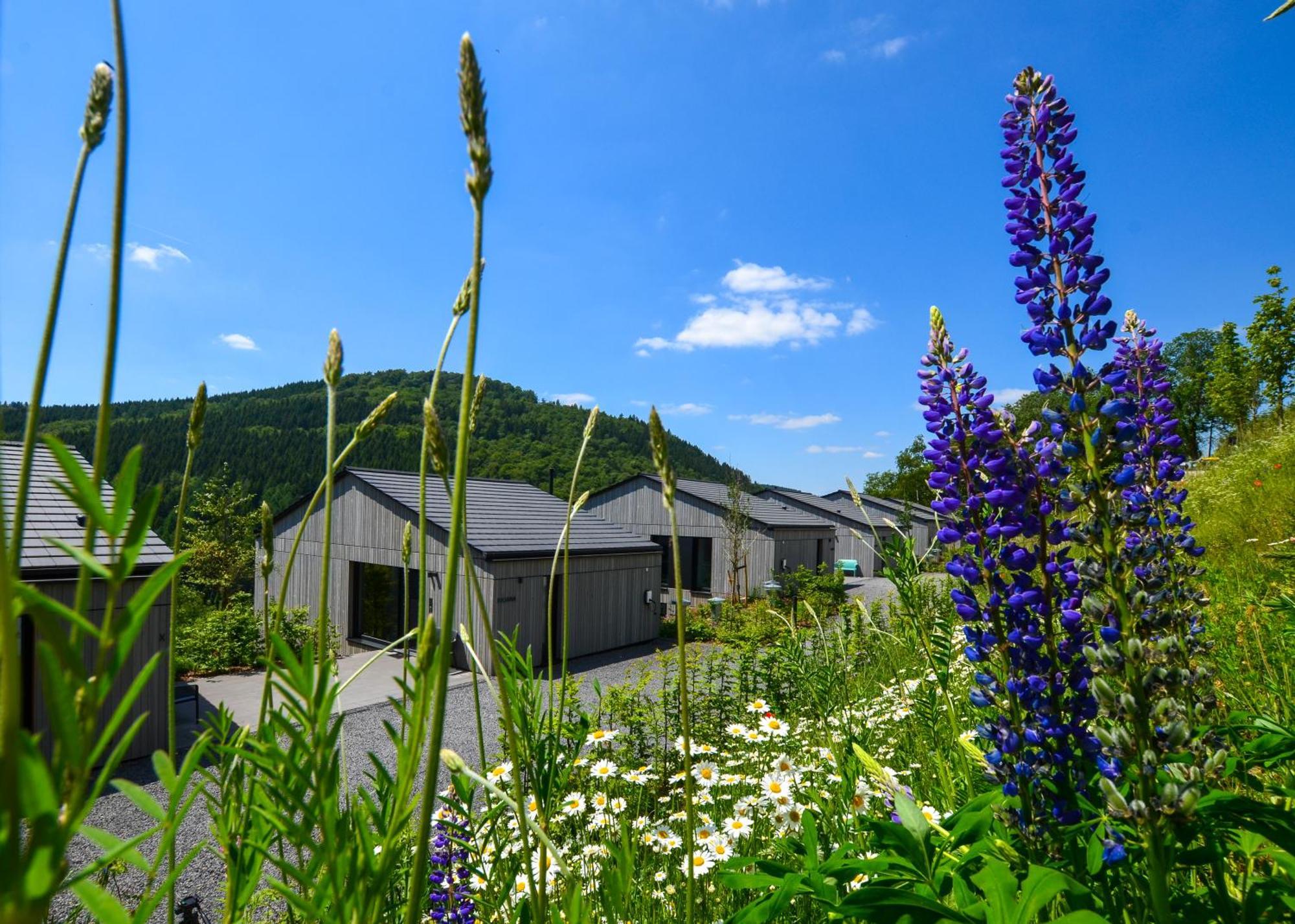 Sauerland Lodge - Haus Maxim 温特贝格 外观 照片